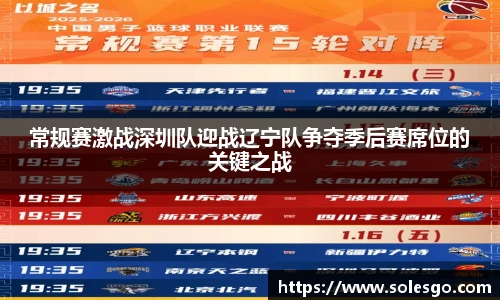 常规赛激战深圳队迎战辽宁队争夺季后赛席位的关键之战